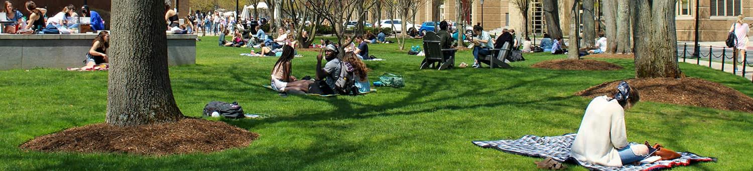 Students on grass